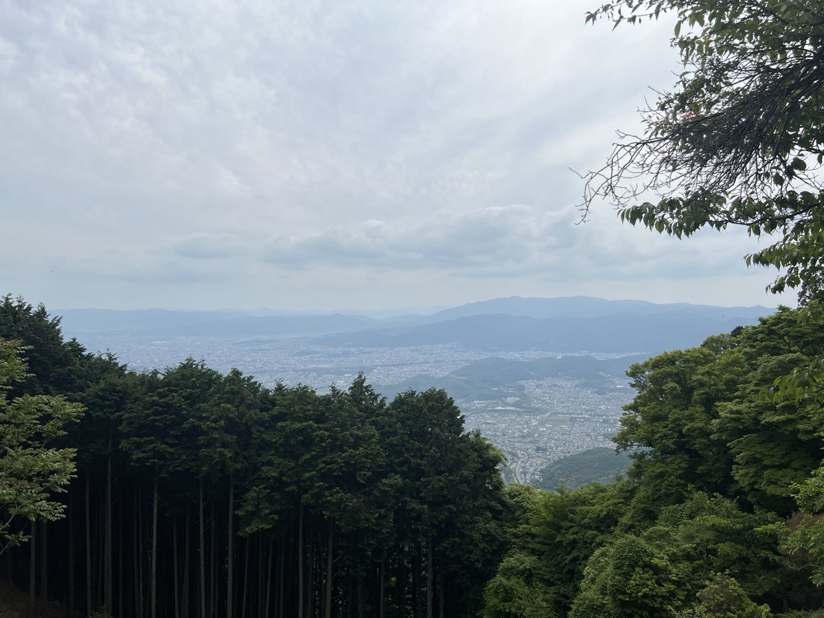 View of Kyoto city from the summit of Mount Hiei with green cedar trees in the foreground