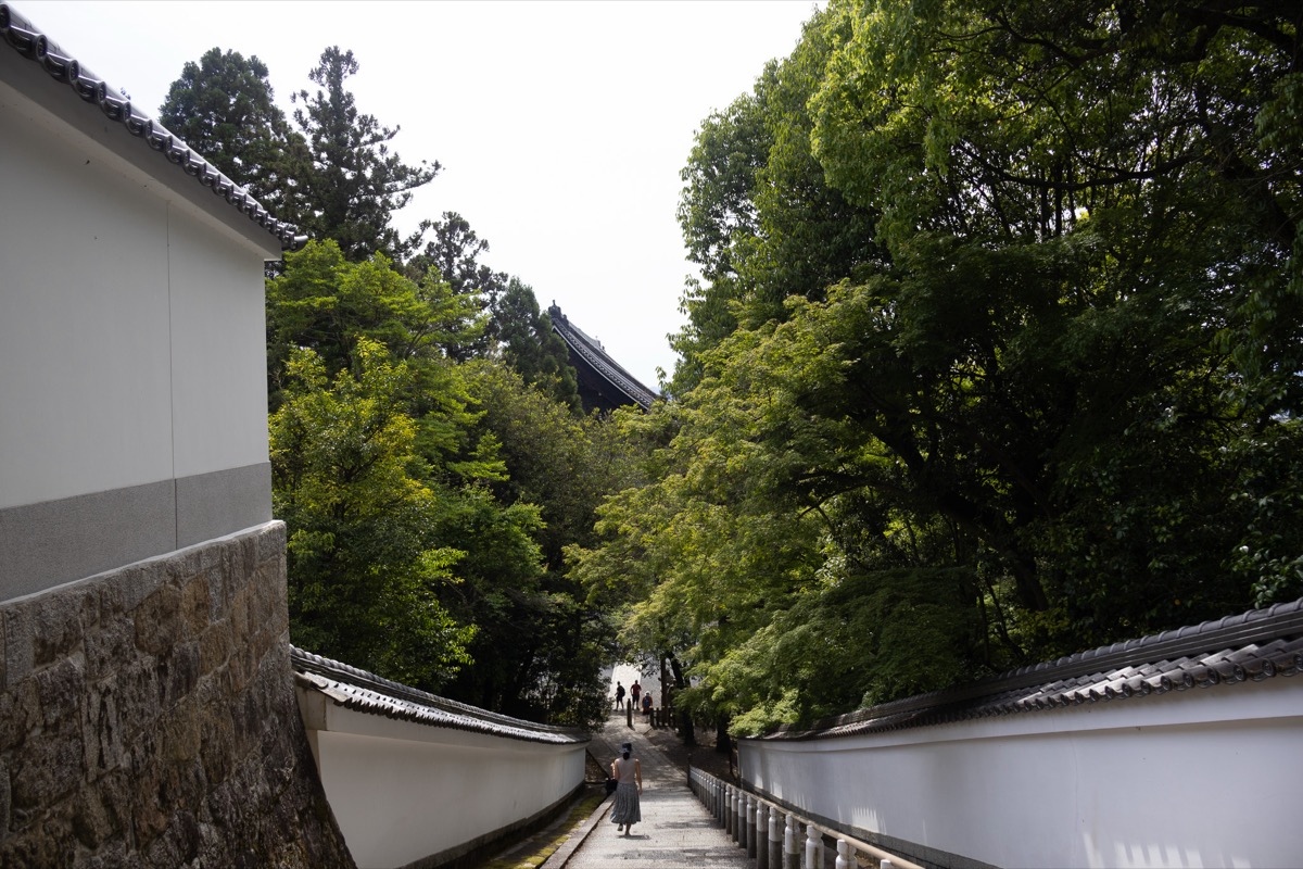 Quiet white-walled path through green trees in Kyoto early morning