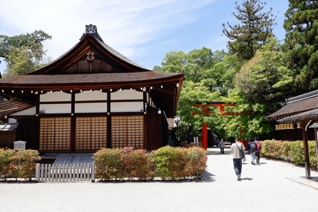 Moss-covered forest path leading to Shimogamo Shrine in Kyoto