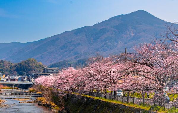 Mount Hiei in Sakyo / Shiga border, Kyoto